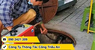 Công ty thông cống nghẹt phường Bình Trị Đông